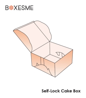 Self Lock Cake box (3)